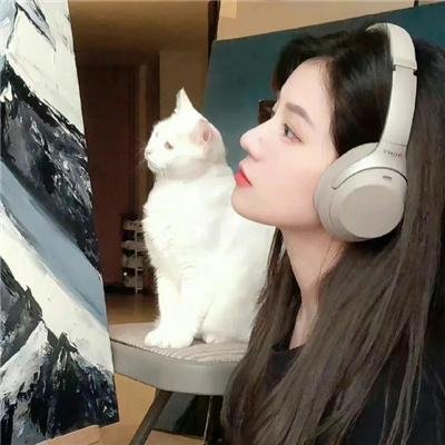 画个圈圈